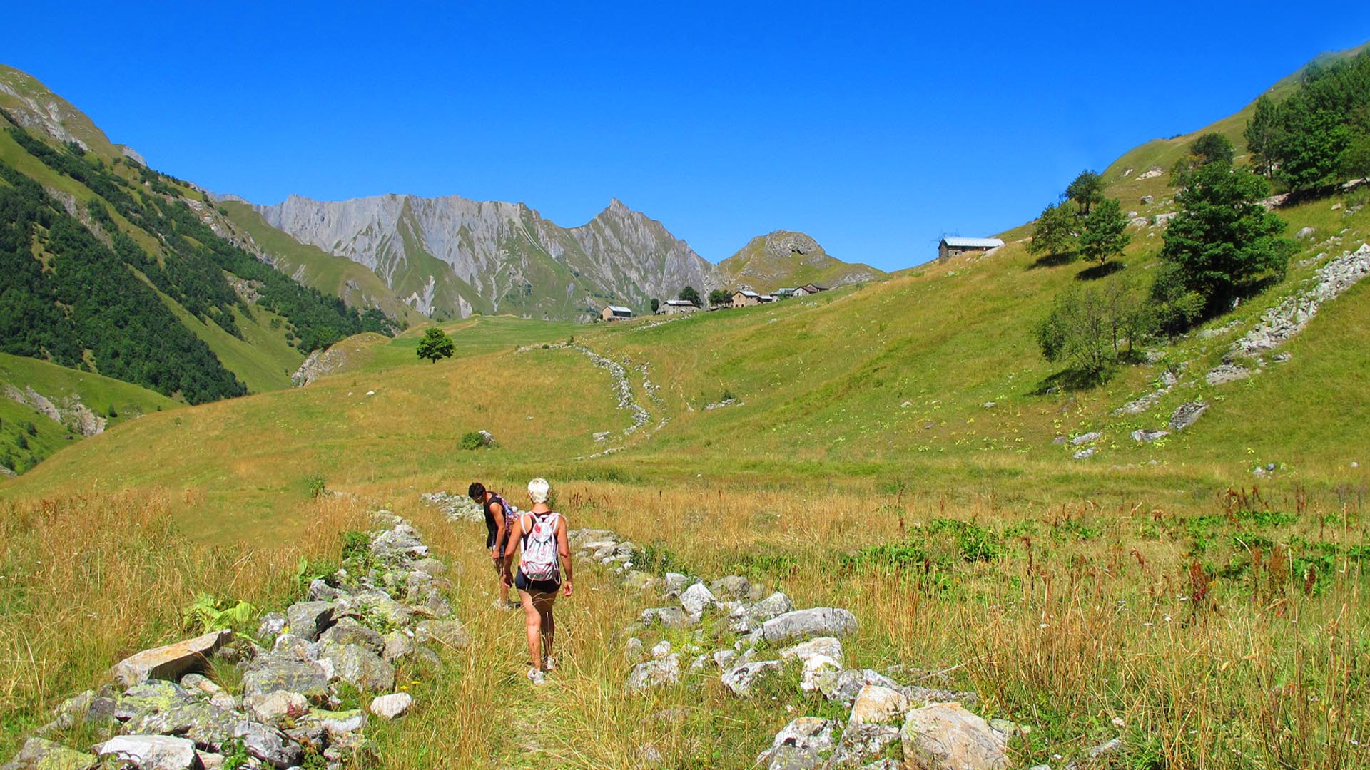 Randonneurs sur un sentier de montagne en été avec vue panoramique sur les sommets alpins