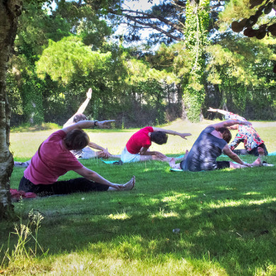 Groupe de vacanciers pratiquant le yoga en plein air dans un parc