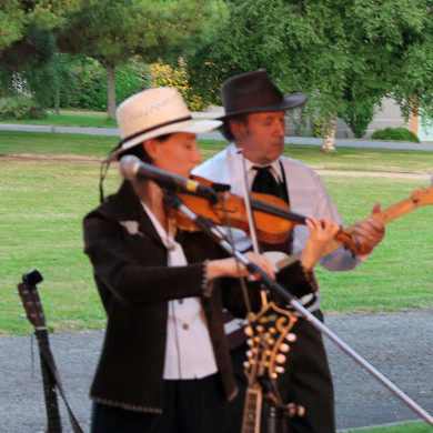 Musiciens jouant du violon et de la guitare lors d’un concert en plein air