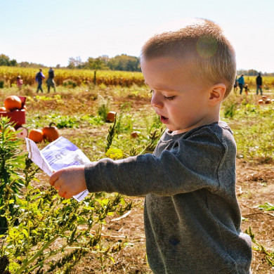 Petit enfant découvrant la nature dans une ferme pédagogique à Fournols d’Auvergne