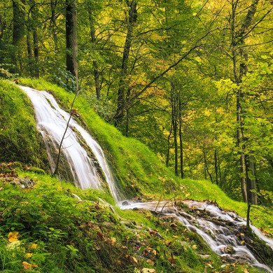 Cascade et forêt verdoyante lors d’une randonnée à Metabief dans le Jura avec Azureva