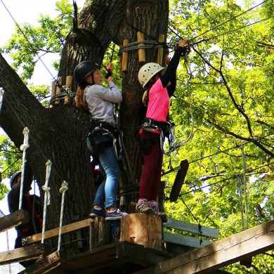 Enfants en activité accrobranche au village vacances Azureva
