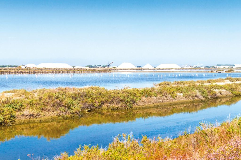 le salin grau du roi azureva 